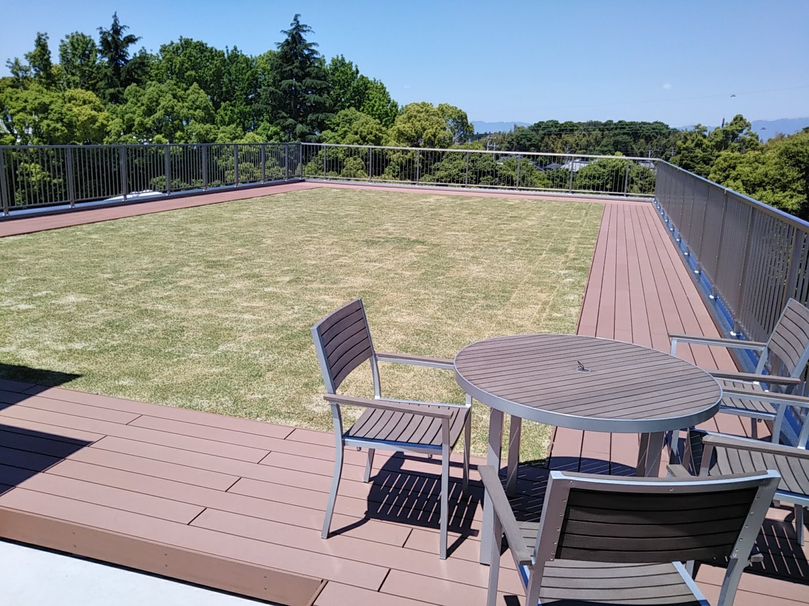 芝生 地被類 薄層緑化 折板屋根緑化 ギャラリー 知らないと損をする屋上緑化 壁面緑化の選び方